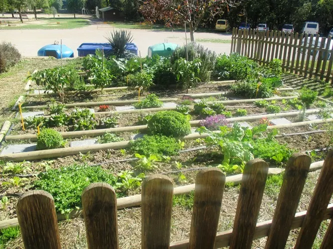 Hort amb bancals i tanca de fusta